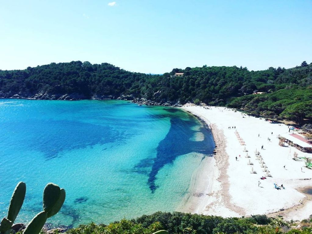 La spiaggia di Fetovaia all'Isola d'Elba con sabbia chiara e mare turchese