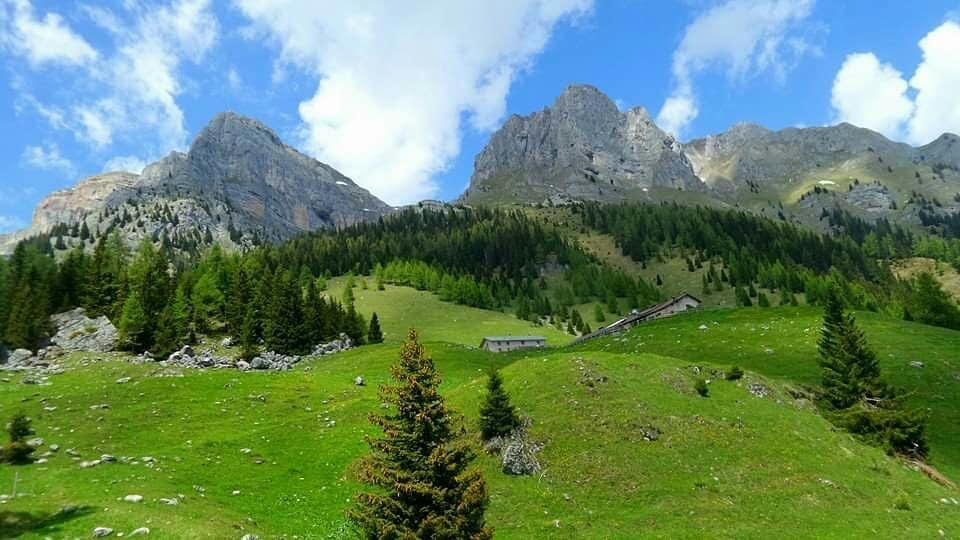 val di sole rifugio orso bruno