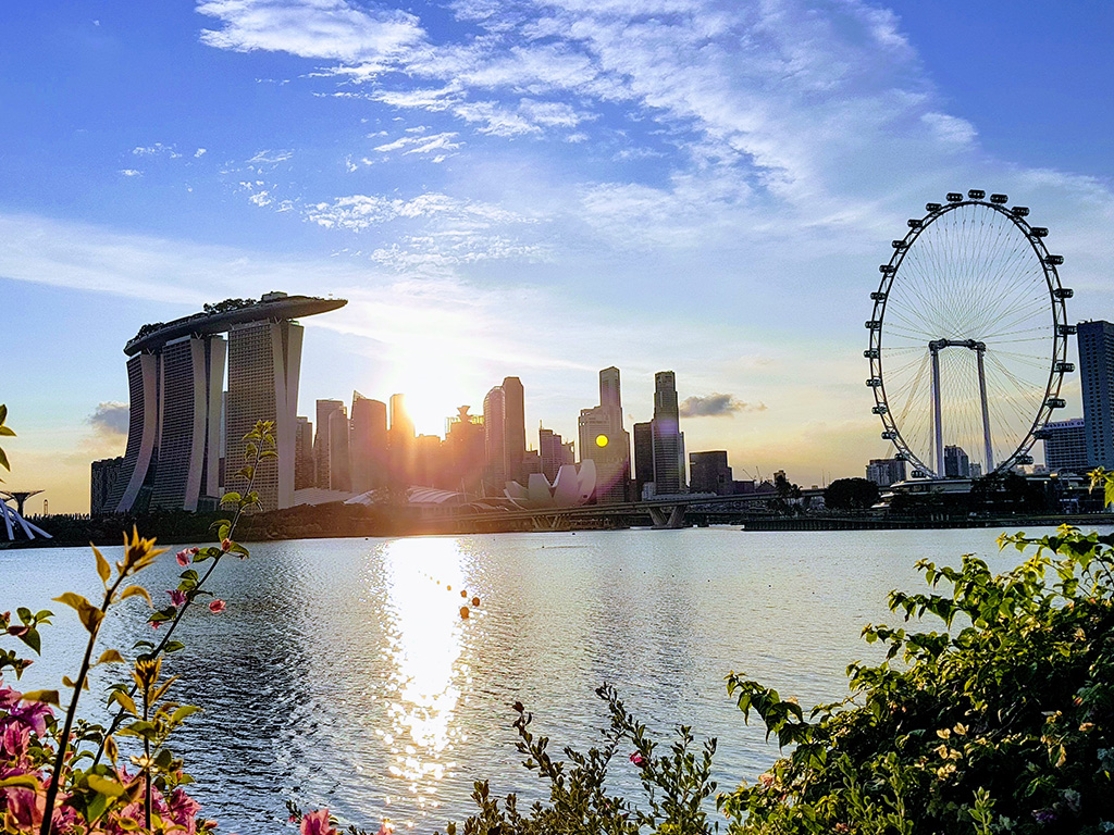 I futuristici Supertree dei Gardens by the Bay illuminati di sera a Singapore