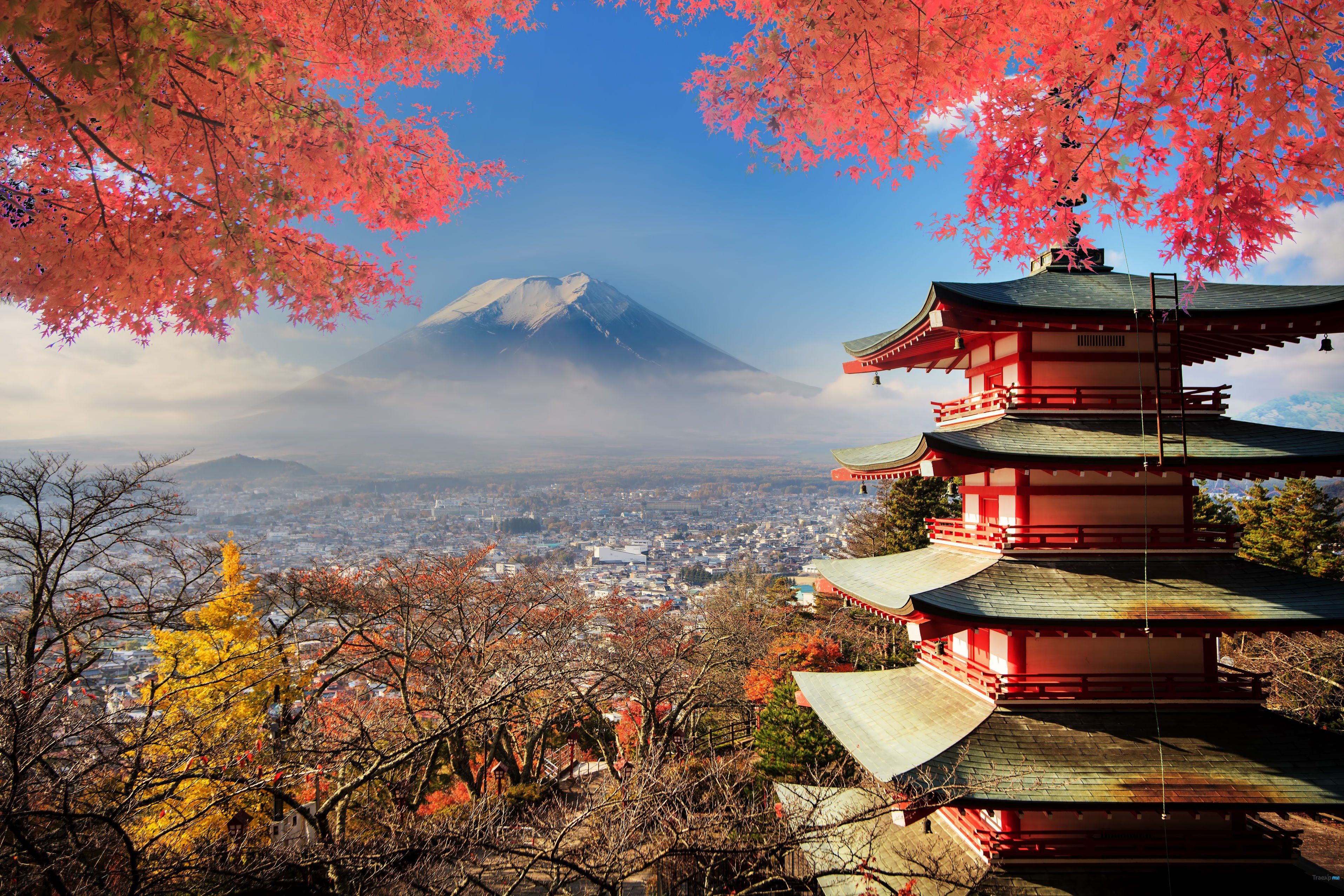 Tokyo, Giappone