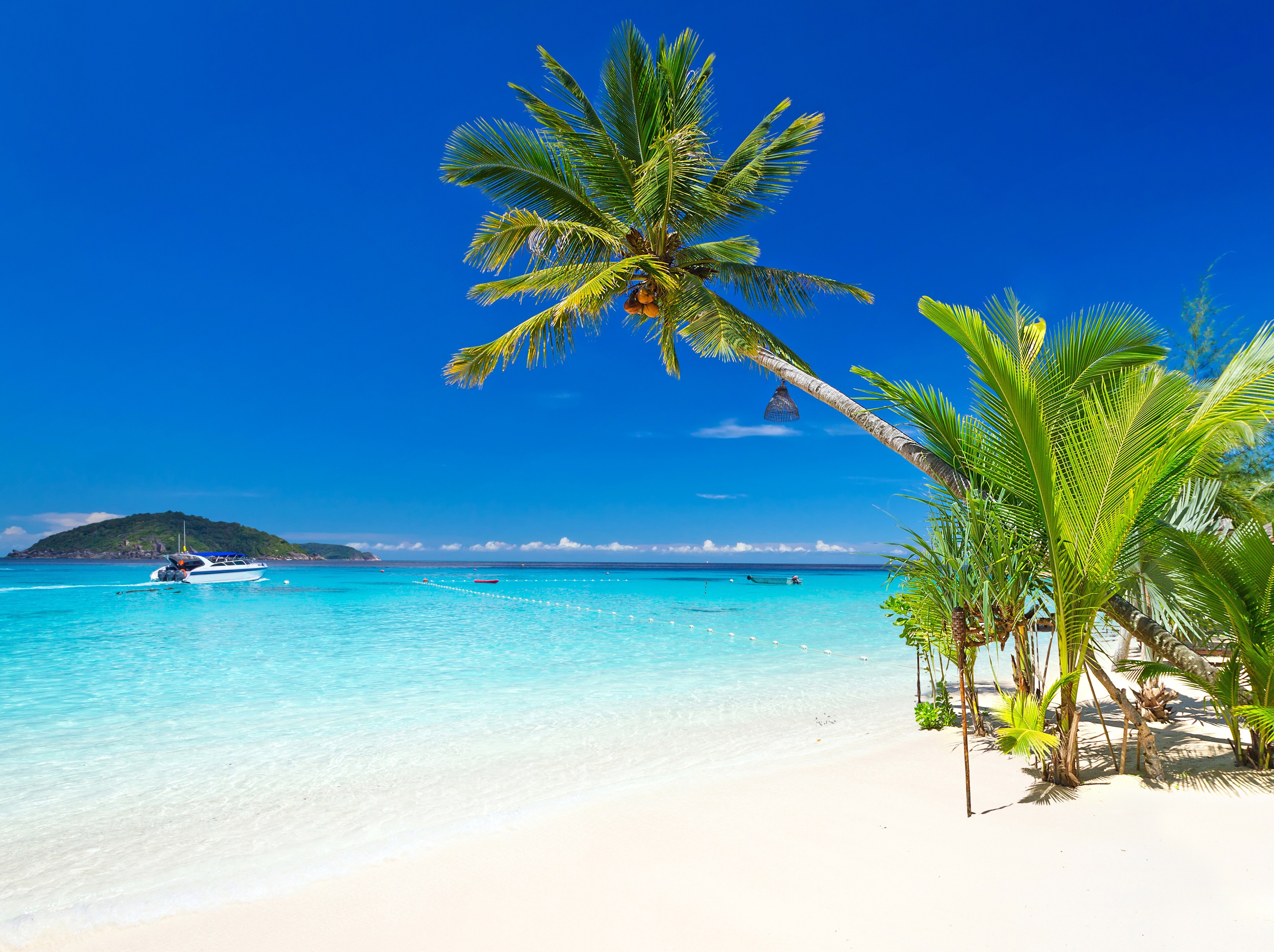 Spiaggia bianca con palme e mare cristallino in Giamaica, Caraibi
