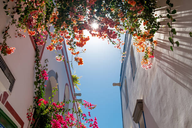Dove dormire a Gran Canaria