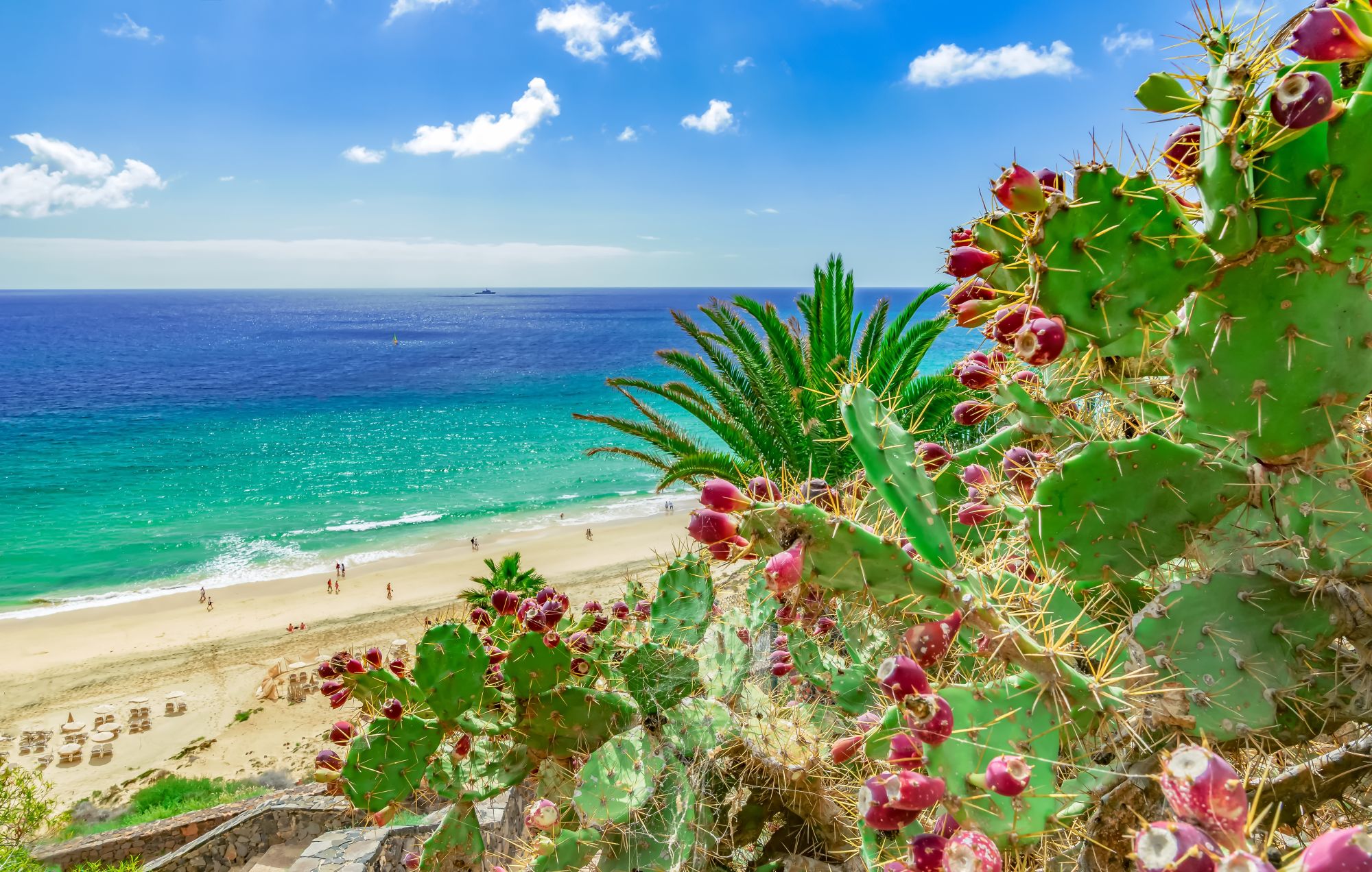 Le piscine naturali e la costa vulcanica dell'isola di El Hierro