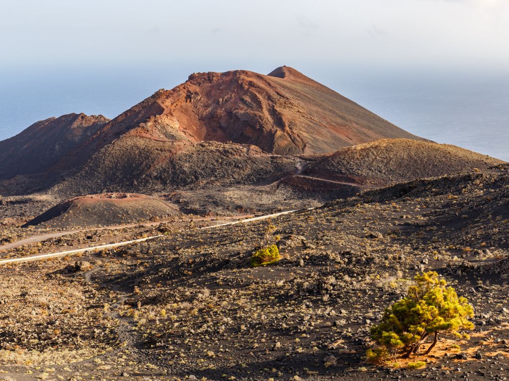 La Palma