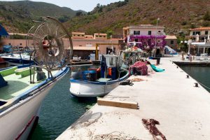 Punti d’interesse di Capraia - ConsigliamiDove Punti d’interesse di Capraia